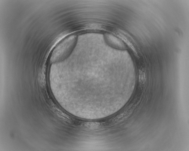 X0000115361068200912011108