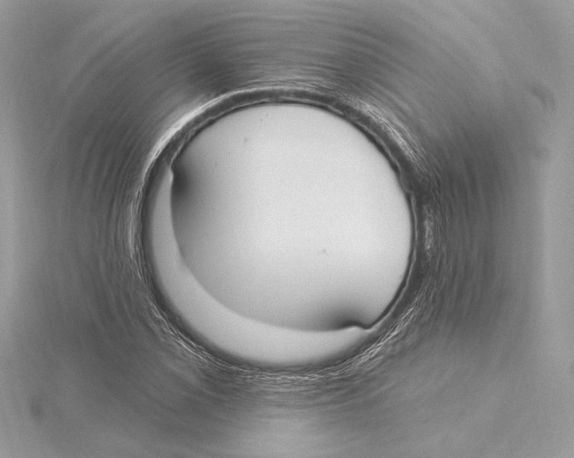 X0000115361069200912011108