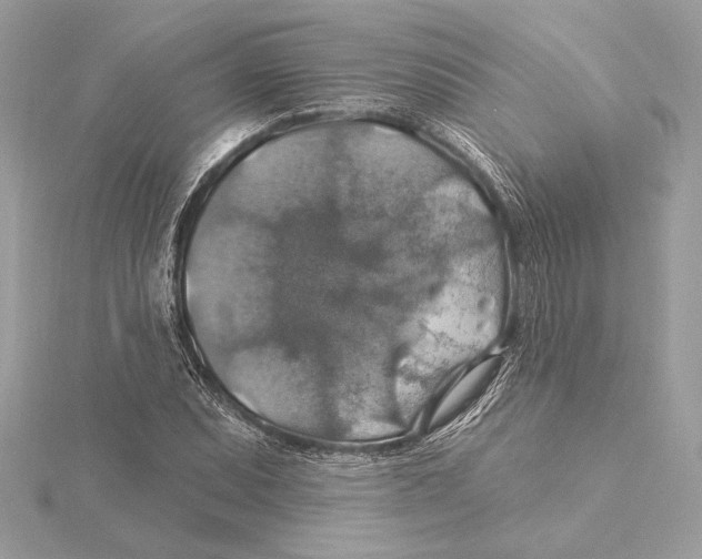 X0000115361071200912011108