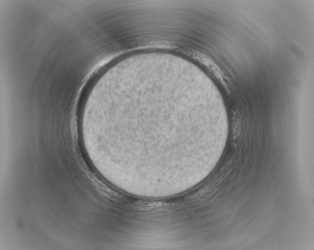 X0000115361072200912011108
