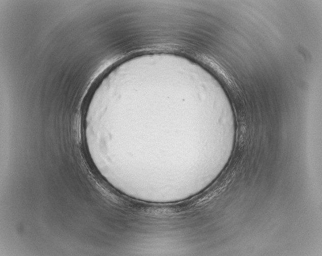 X0000115361079200912011108