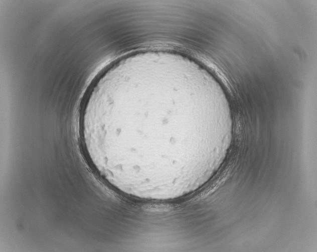 X0000115361083200912011108