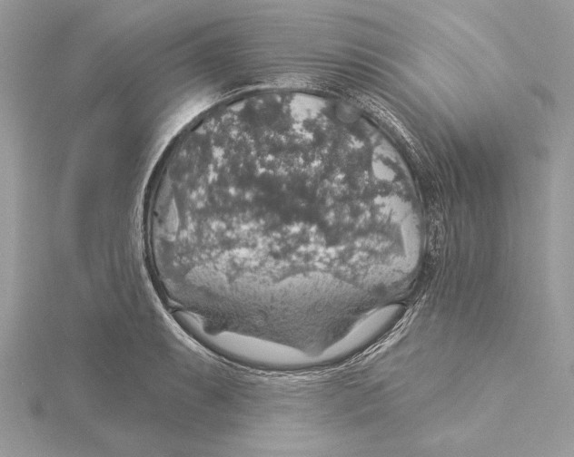 X0000115361087200912011108