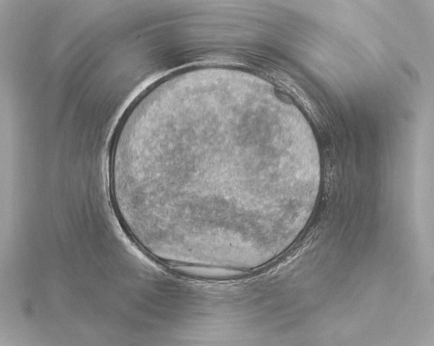 X0000115361092200912011108