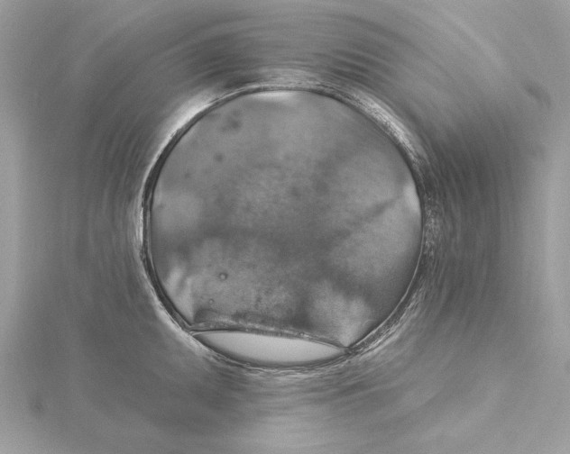 X0000115361095200912011108