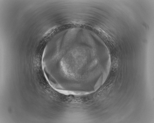 X0000115361110200912011107