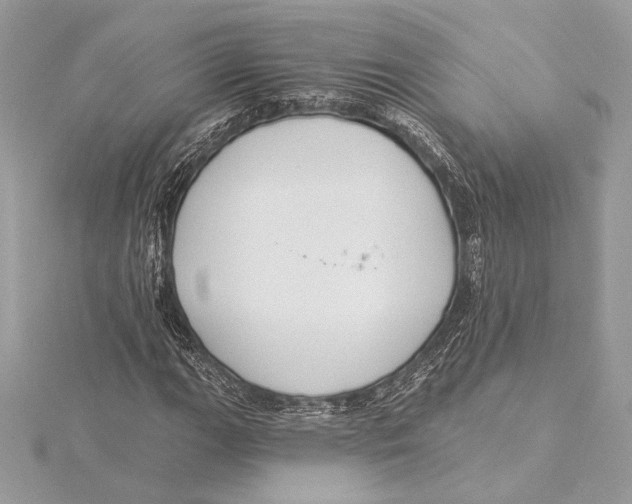 X0000115361111200912011107