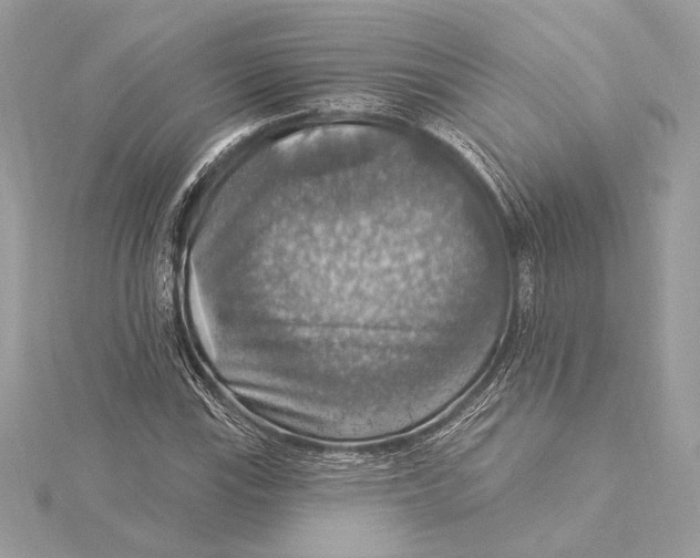 X0000115361115200912011107