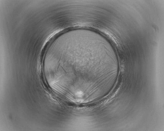 X0000115361117200912011107