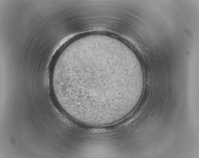 X0000115361118200912011107