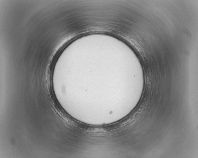 X0000115361119200912011107