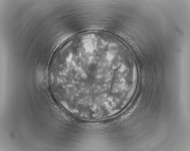 X0000115361121200912011107