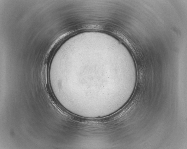 X0000115361123200912011107