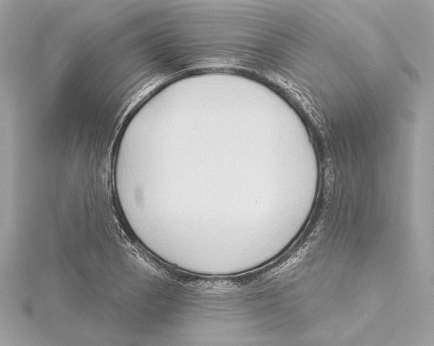 X0000115361129200912011108
