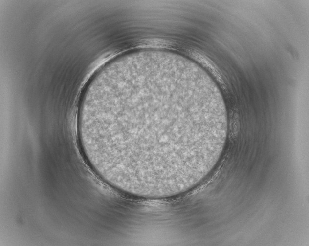X0000115361130200912011108