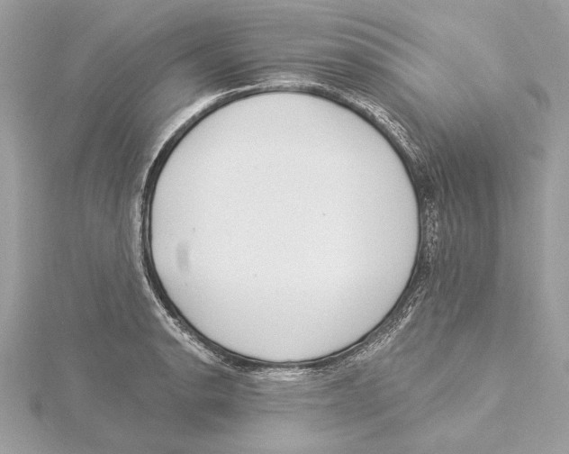 X0000115361134200912011108