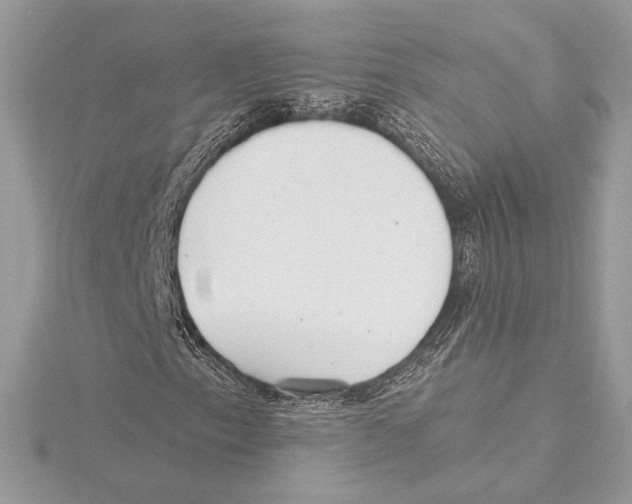 X0000115361153200912011107