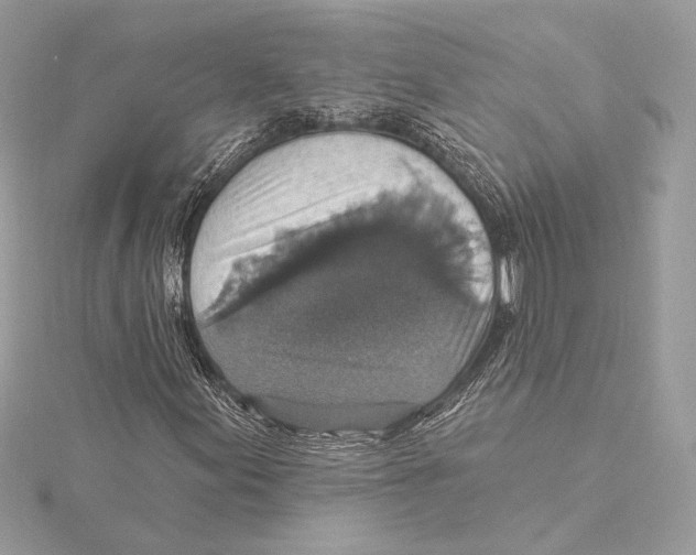 X0000115361155200912011107