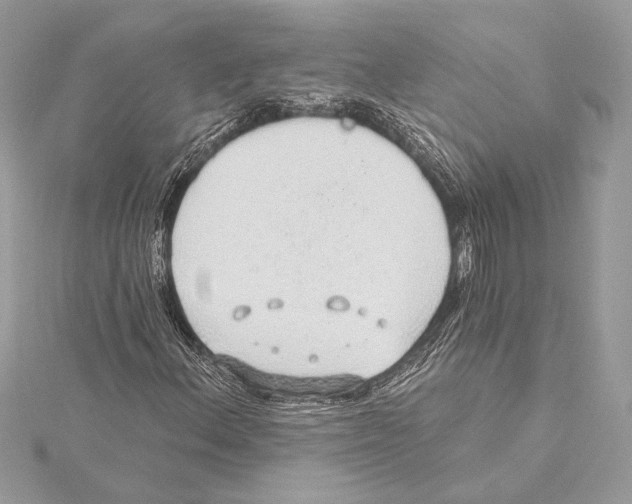 X0000115361156200912011107