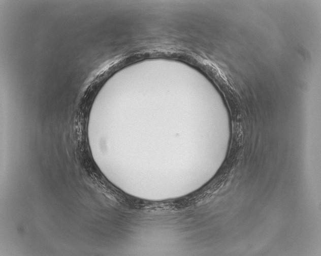 X0000115361159200912011107