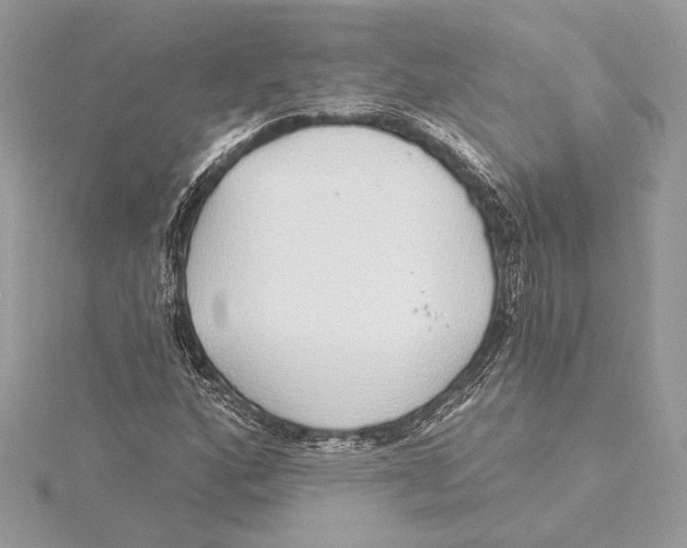 X0000115361160200912011107