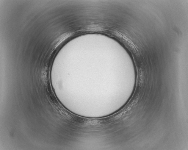 X0000115361162200912011107