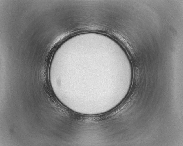 X0000115361163200912011107