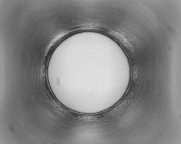X0000115361164200912011107