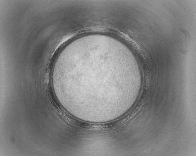 X0000115361166200912011107