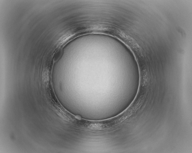X0000115361169200912011107