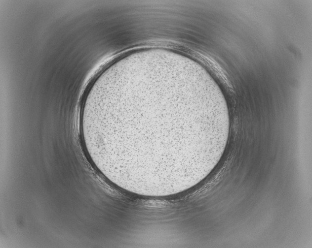 X0000115361180200912011107