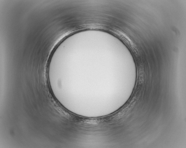 X0000115361182200912011107