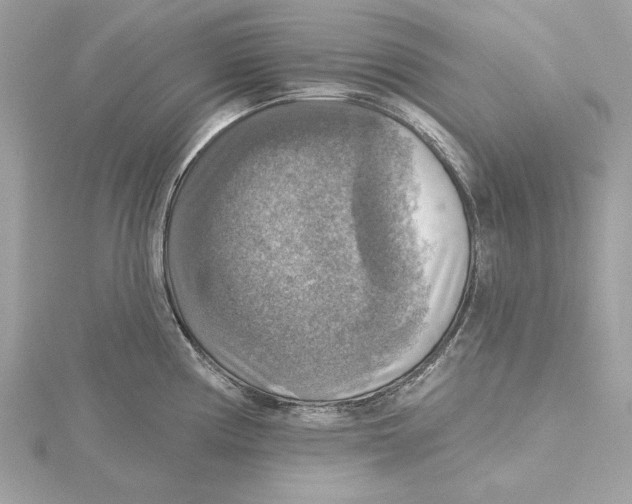 X0000115361194200912011107