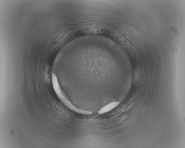 X0000115361202200912011106