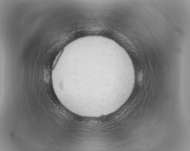 X0000115361204200912011106