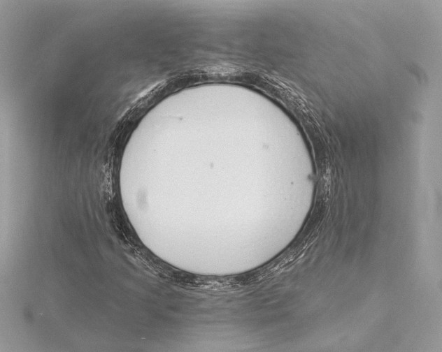 X0000115361205200912011106