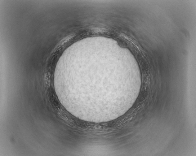 X0000115361207200912011106