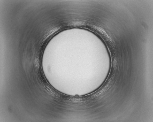 X0000115361209200912011106