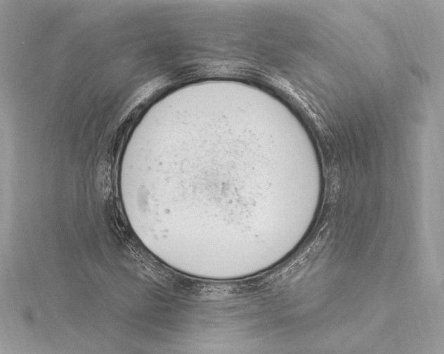 X0000115361211200912011106