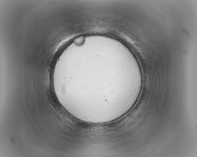 X0000115361214200912011106