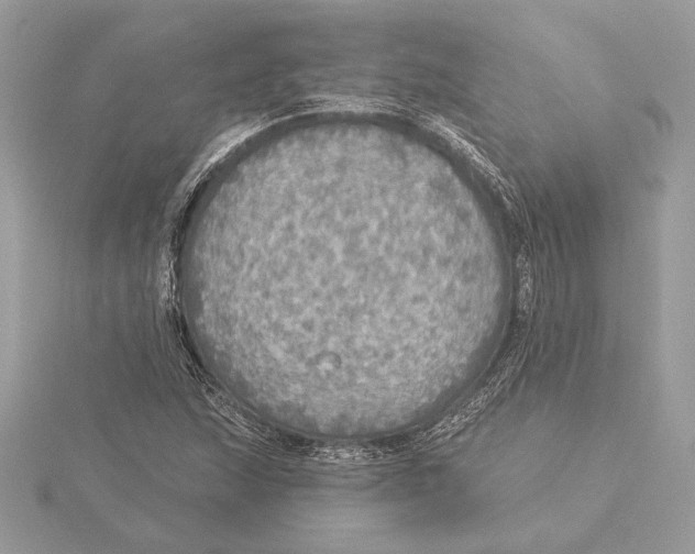 X0000115361215200912011106