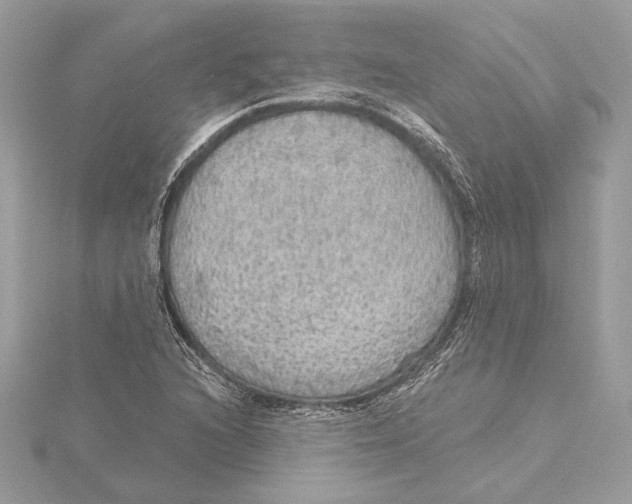 X0000115361216200912011106