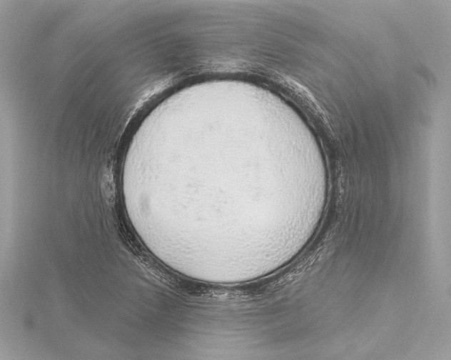 X0000115361218200912011106