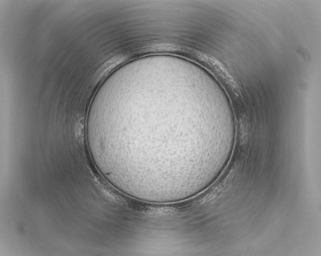 X0000115361225200912011106