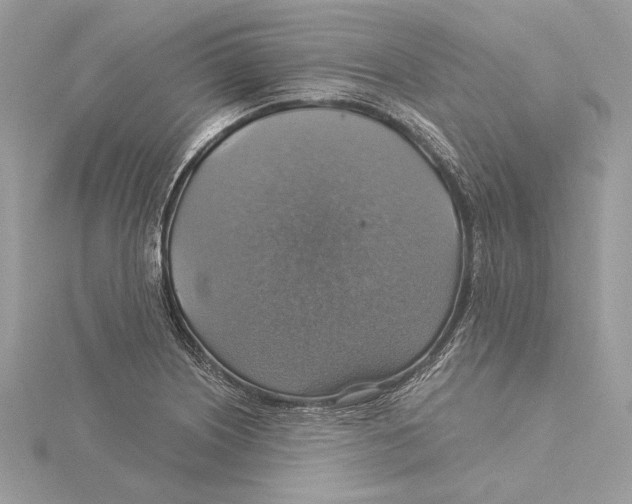 X0000115361226200912011106
