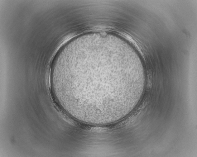X0000115361227200912011106