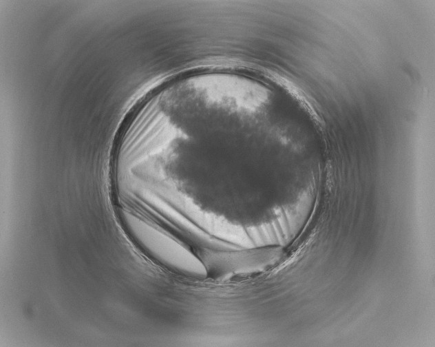 X0000115361229200912011106