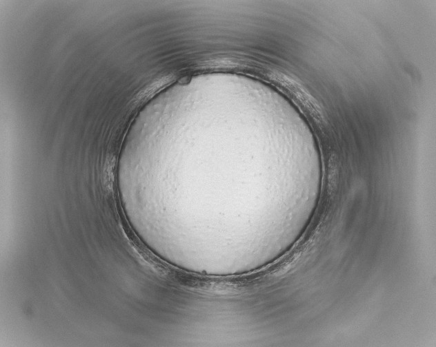 X0000115361233200912011106