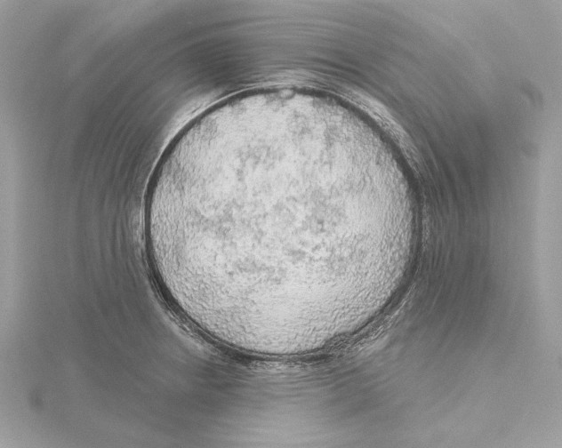 X0000115361234200912011106