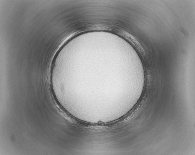 X0000115361236200912011106